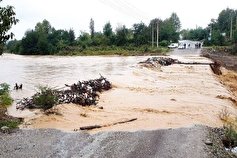 ۸جوان گرفتار در رودخانه فصلی قاین نجات یافتند